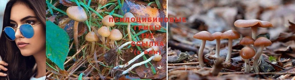таблы Абинск