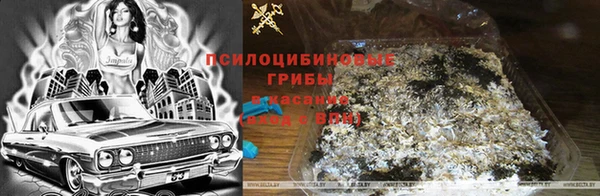 таблы Абинск