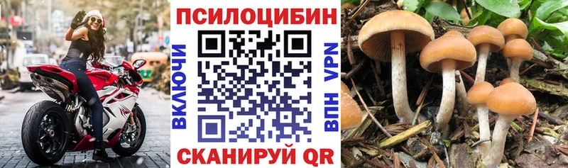 где продают наркотики  Усть-Илимск  Псилоцибиновые грибы Cubensis 
