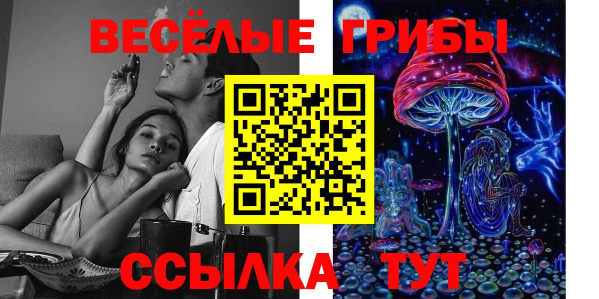 Псилоцибиновые грибы Cubensis  Вход с VPN  Усть-Илимск 